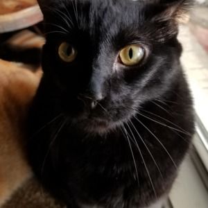 Meet your Posher, Jesse